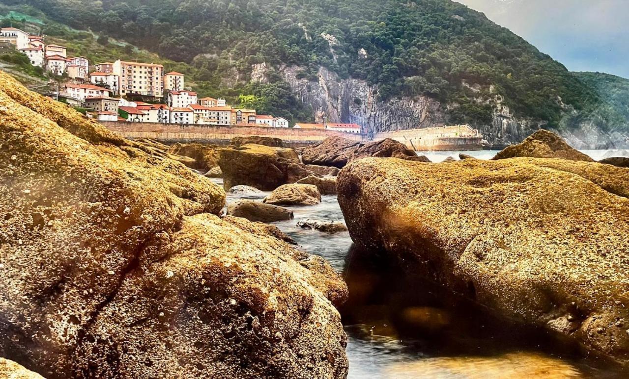 Precioso Apartamento En El Puerto De Elantxobe Luaran gambar